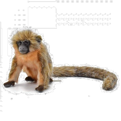 【日本直邮】HANSA仿真蒂蒂猴儿童玩偶毛绒布艺类玩具BH6230