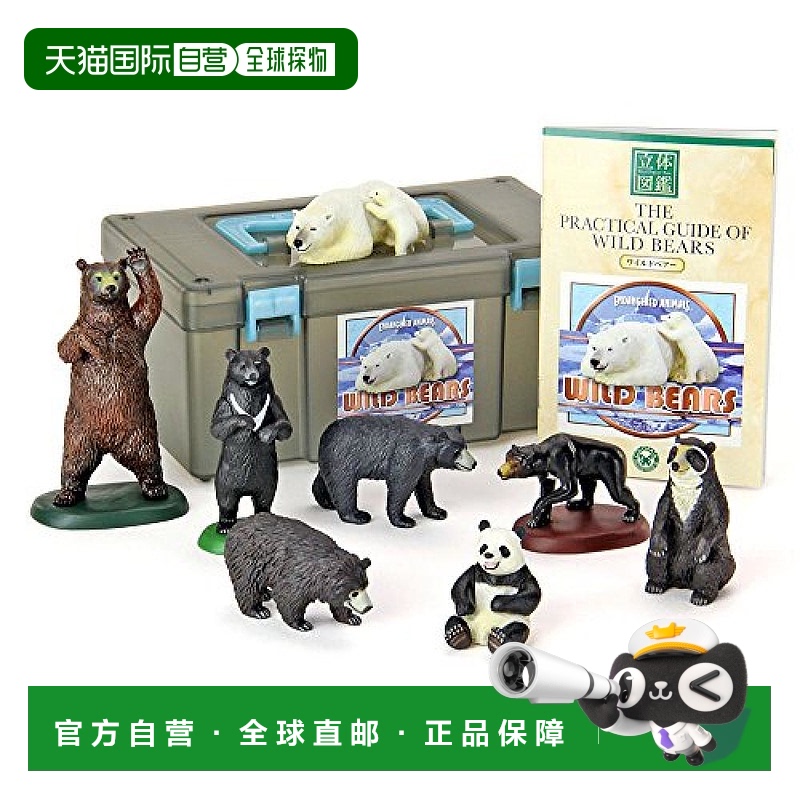 【日本直邮】COLORATA 3D插图本熊的逼真数字盒含说明书模型礼物