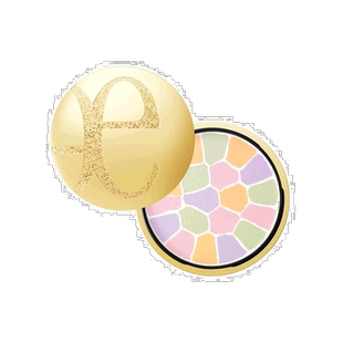 日本直邮Elegance雅莉格丝e大饼粉饼控油定妆散粉遮瑕粉扑1号4号6