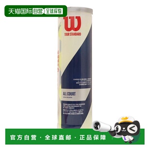 日本直邮Wilson 网球 TOUR STANDARD WRT103800 自主训练用硬式网