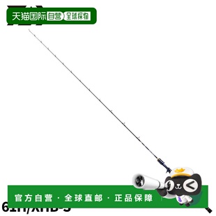 日本直邮Daiwa 铅头钩 Saltiga LJ 61H/XHB-S 2023 附加型号