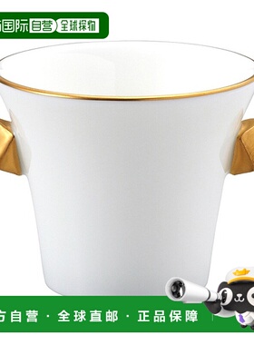 日潮跑腿NARUMI 专业风格浓缩咖啡杯（金色）80cc (50461-2657)