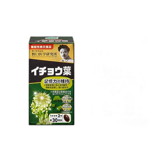 日本直邮野口医学研究所银杏叶提取物EX胶囊60粒植物升级版