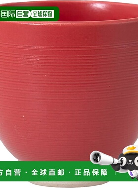 【日本直邮】西海陶器 波佐见烧 茶杯 容量约180ml 赤千段 红色 2