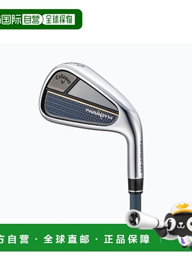 日本直邮 Paradigm 5支装铁杆套装(6 9PW) N.S.PRO 950GH neo 硬: