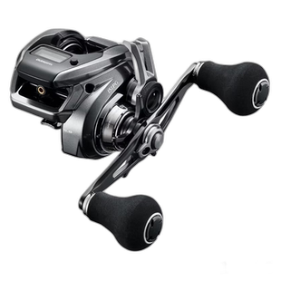 日本直邮Shimano Jigging Reel Engetsu Premium 151PG 左手柄 24