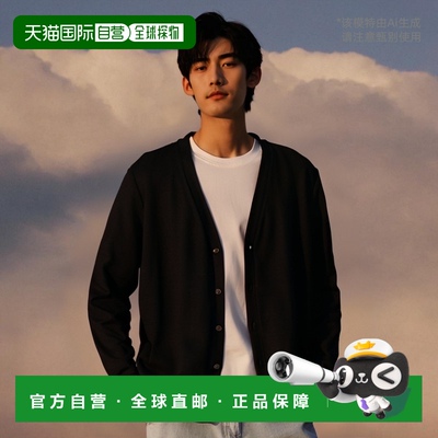 1h可退 日本直邮SLOANE × International Gallery BEAMS 羊毛V领