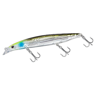 日本直邮Daiwa 钓鱼鞋 Shoreline Shaier Z 125F LI Chart Head I