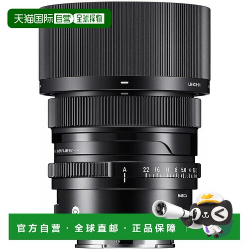 西格玛 索尼E卡口镜头 50mm F2 DG DN单焦标准全尺寸适马