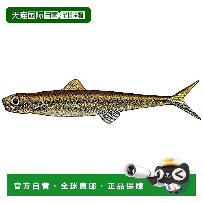 【日本直邮】Evergreen 诱饵鱼饵Last Ace 95F #117 黄银 95mm