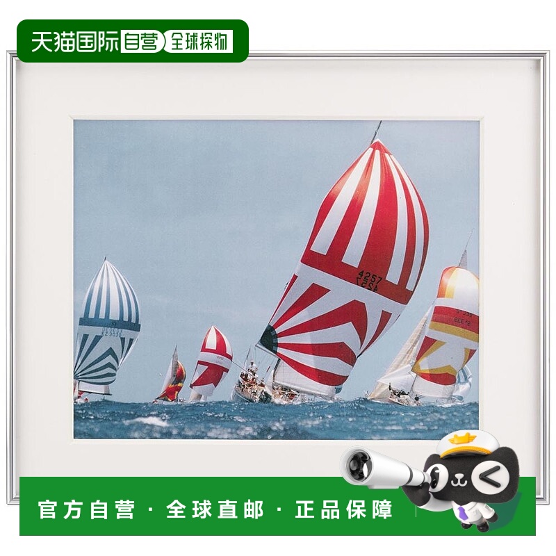 【日本直邮】Fujicolor富士胶片壁挂式铝制亚克力相框257×308mm