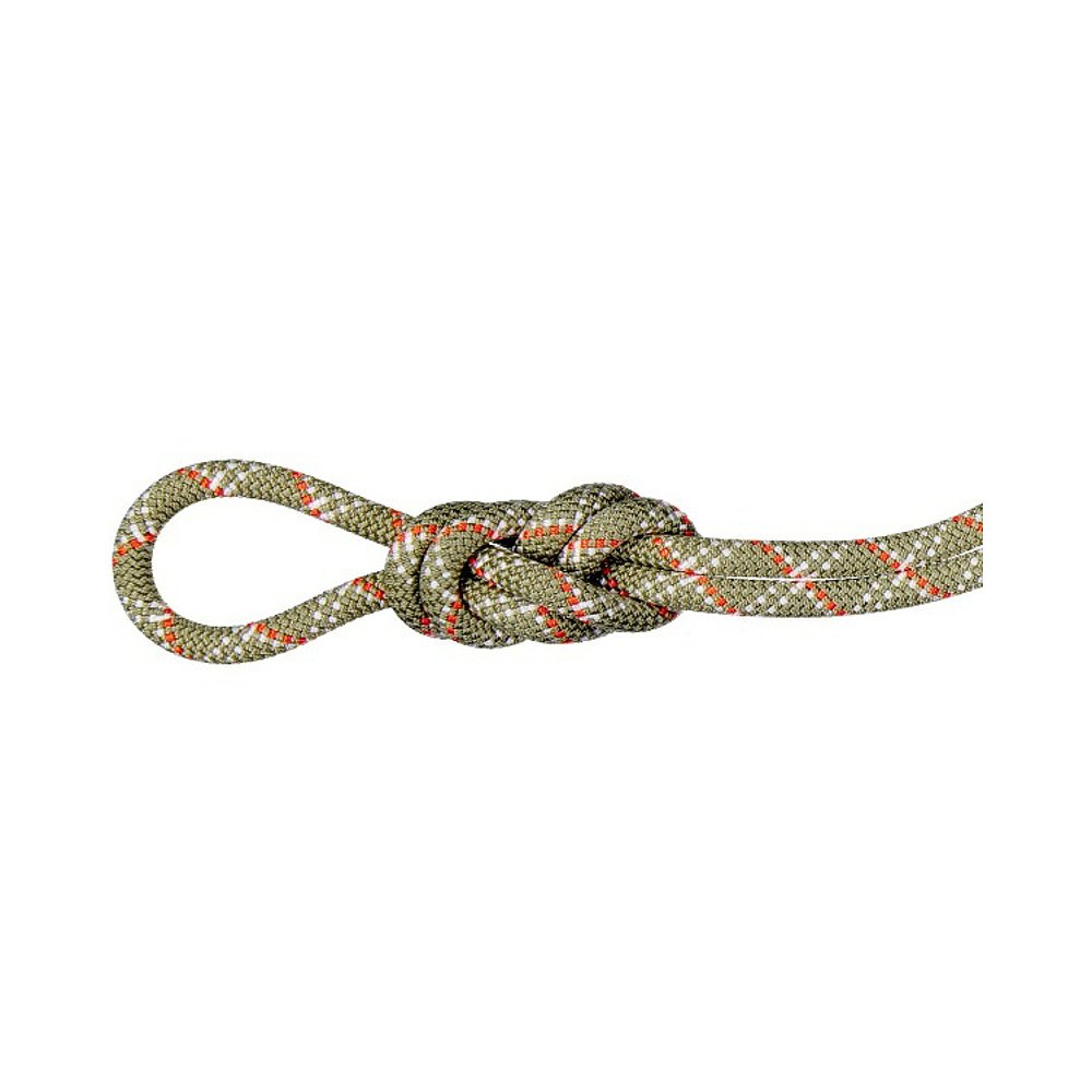 日本直邮MAMMUT 9.5 健身房经典绳索50米户外攀岩装备201005830-4