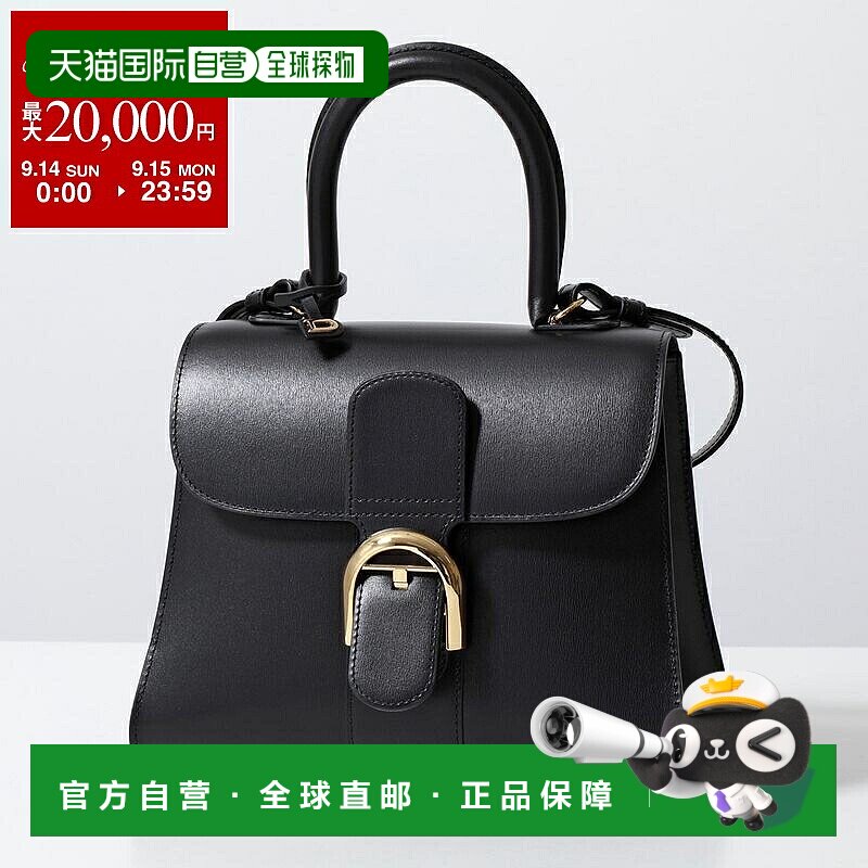 日本直邮DELVAUX 手提包 Brillant PM AA0569AAM099ZDO 女士皮革
