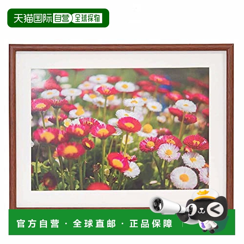 【日本直邮】Fujicolor富士胶片 相框木质M21 宽4切大小 棕色4079