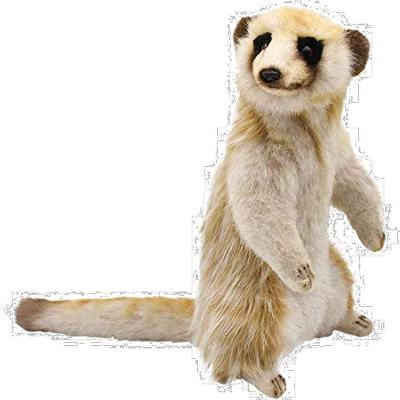 【日本直邮】Hansa汉莎 动物系列毛茸玩具 狐獴 No.3703