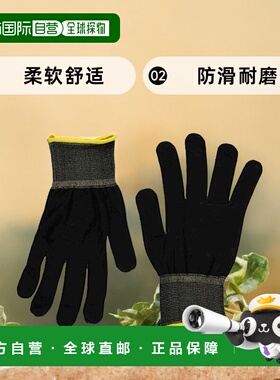 【日本直邮】As One亚速旺 手套内衬 黑 LL 10双装   /3-7380-01