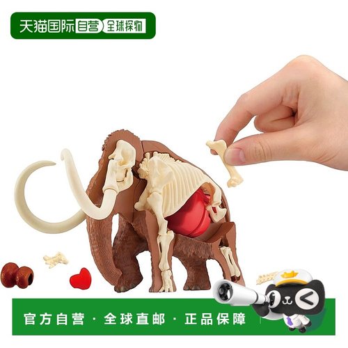 【日本直邮】Megahouse 立体拼图 猛犸象解刨学拼图 37片