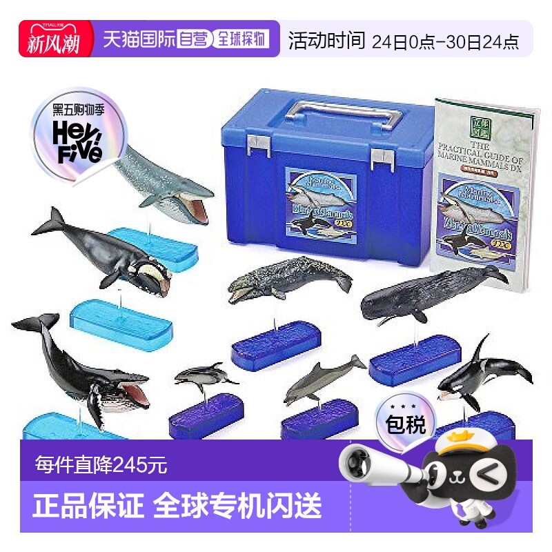 【日本直邮】COLORATA 哺乳动物图3D绘本 鲸鱼/海豚仿真图盒礼物