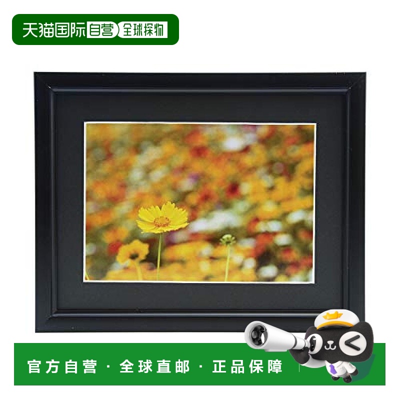 【日本直邮】Fujicolor富士胶片 相框铝制A33 2L大小 黑色 306716