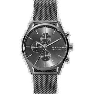 【日本直邮】skagen诗格恩手表霍尔斯特6608男士黑色走时精确防水