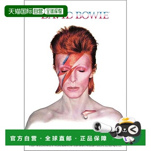 【日本直邮】大卫 鲍伊 Aladdin Sane 专辑 120片迷你拼图 日本制