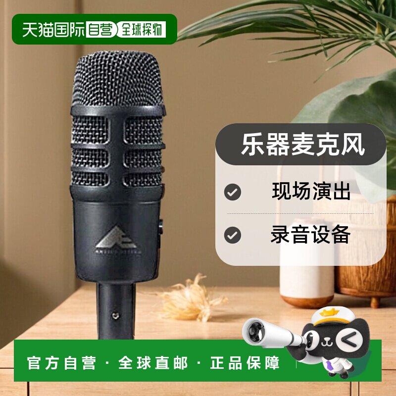 【日本直邮】Audio Technica 乐器麦克风 AE2500 现场演出 录音