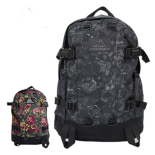日本直邮GREGORY格里高利ALL DAY V2.1 双肩背包24L