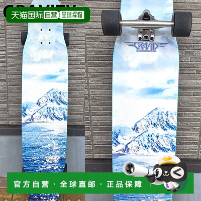 日本直邮SWELL Swell SKATE FISHBONE 鱼骨 22 英寸迷你巡洋舰巡
