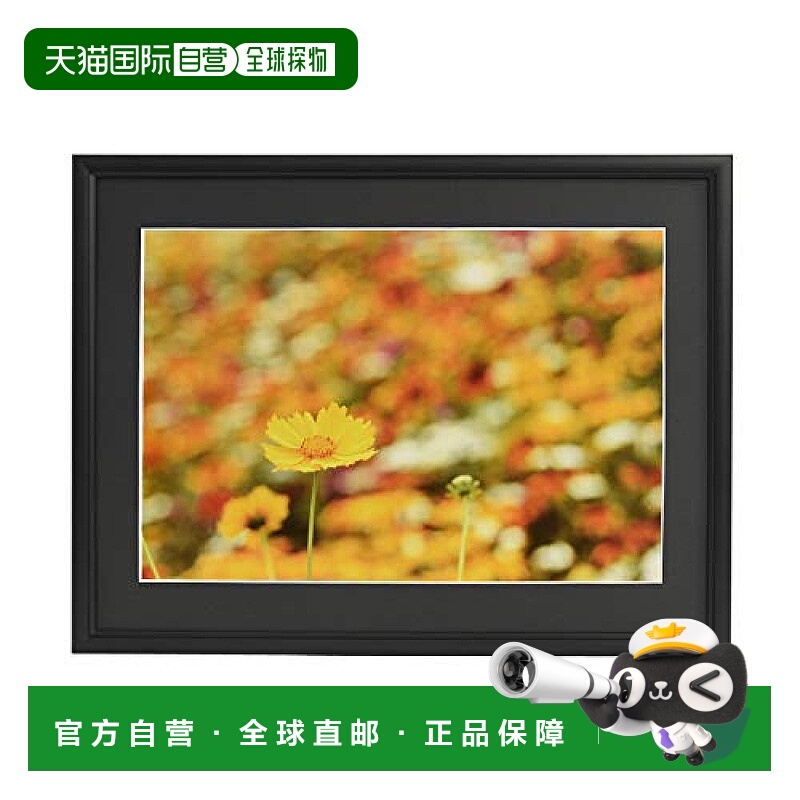 【日本直邮】Fujicolor富士胶片 铝合金相框A33 A3 Novi 黑色 306