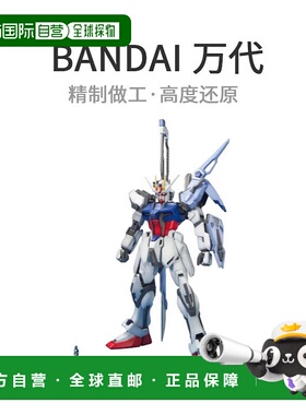 【日本直邮】 MG 1/100 GAT-X105 火箭巨砲/剑强袭高达模型万代