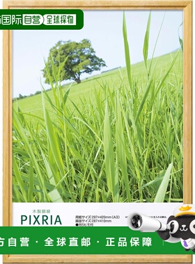【日本直邮】HAKUBA 木质相框A3 原木 FWPX-NTA3