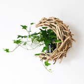 简约墙面装 饰绿植壁挂实木花瓶创意客厅电视沙发背景墙上挂饰盆栽