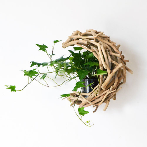 客厅背景墙绿植花瓶壁挂装饰
