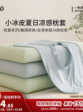 一默小冰皮枕套凉感冰丝枕套夏凉记忆棉枕套高弹力乳胶枕套异形通