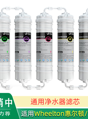 适用Wheelton惠尔顿WHT-A1新飞BU917净水器滤芯BU305 BU317鑫慧源