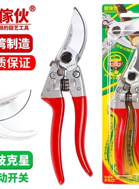 台湾靓傢伙高品质果树盆景园艺粗枝剪刀J园林剪枝花剪省力修枝剪