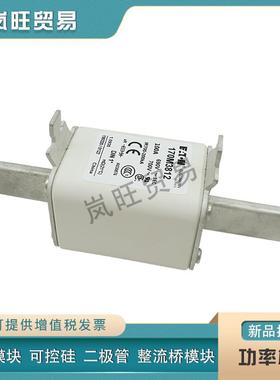 巴斯曼快速熔断器保险丝170M3814 3815 3816 3817 3818 3819 3901