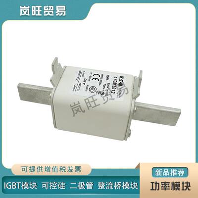 巴斯曼快速熔断器保险丝170M3814 3815 3816 3817 3818 3819 3901