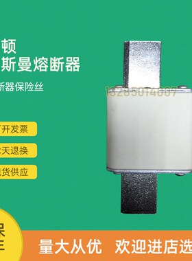 全新快速熔b断器保险170M8557D 170M8600 170M8601 170M8602