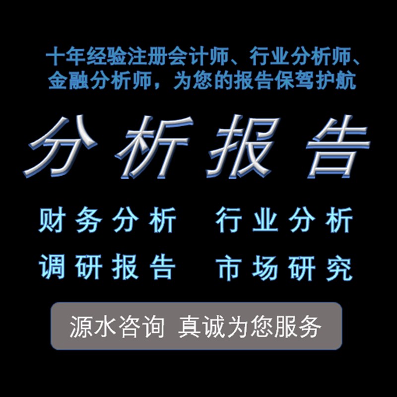 财务分析报告财务数据分析财务报表分析行业财务上市公司审计会计