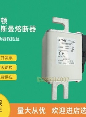 全新快速熔断器保险170M5931 170M5952 170M5953 170M5954