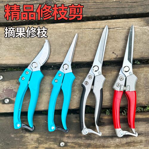 果树修枝剪葡萄专用园艺花剪刀采摘水果神器P园林加长火龙果剪刀