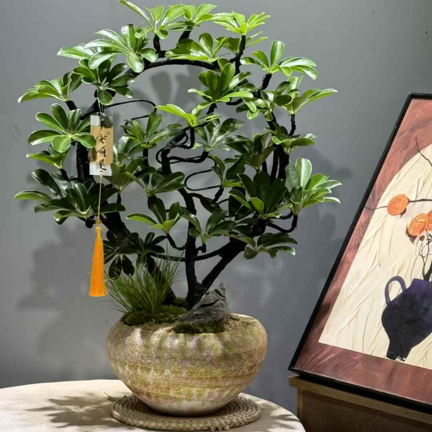 鸭脚木造型盆栽办公室桌面盆景