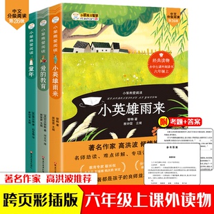 课外书童年爱 全套3册六年级必读 教育小英雄雨来故事书上册适合上学期课外阅读书籍有声读物儿童励志故事 高洪波推荐
