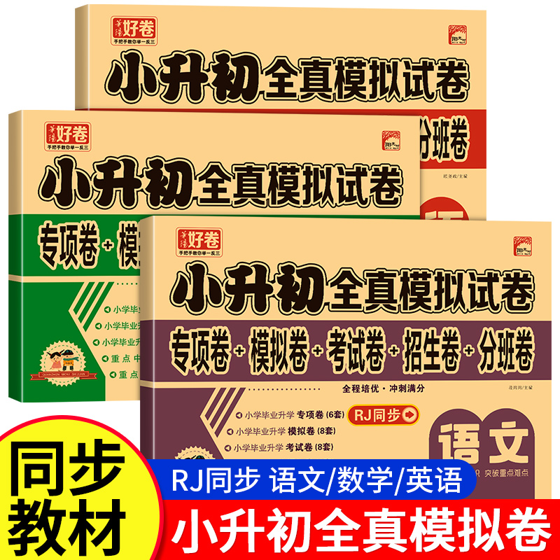 小升初全真模拟试卷人教版
