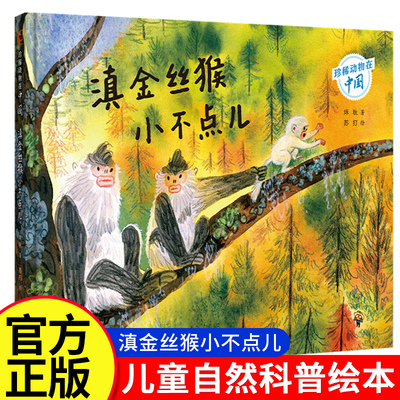 滇金丝猴小不点儿珍稀动物