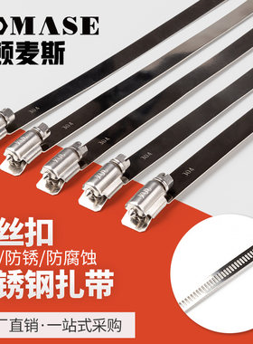 304螺丝不锈钢扎带金属桥架抱箍