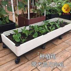 家里种菜神器室内自家种菜盆蔬菜楼顶花盆园艺家庭种植户外菜园屋