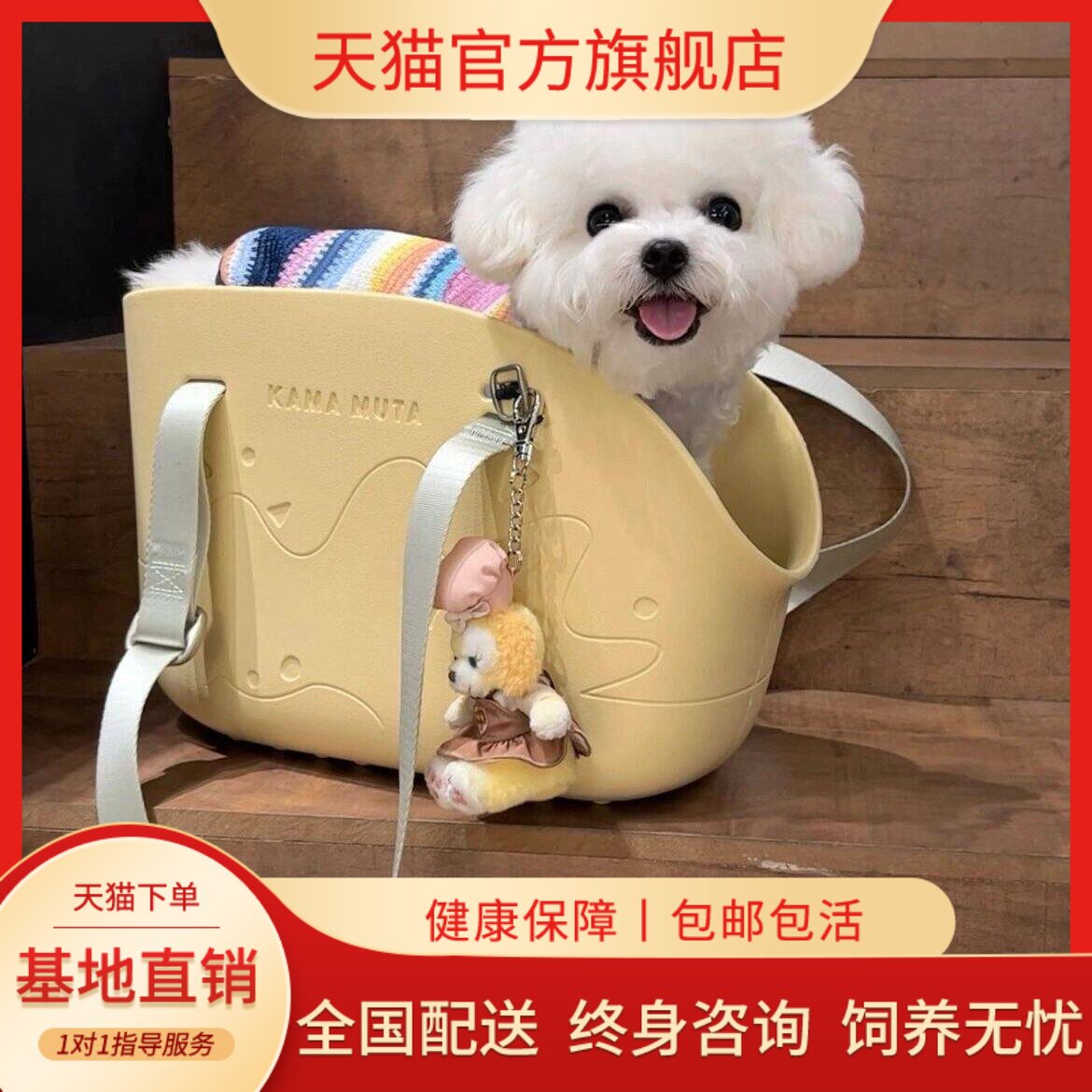 幼崽迷你狗犬网红小体白狗活体超