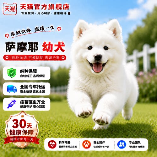 幼宠微笑天使粘人网红好养大骨架